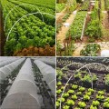 Combo 10 khung vòm sợi thủy tinh phi 4mm siêu bền dùng làm khung vòm phủ nilong BA1610, Dài 2m