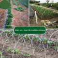 Combo 10 khung vòm sợi thủy tinh phi 4mm siêu bền dùng làm khung vòm phủ nilong BA1610, Dài 2m