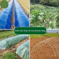 Combo 10 khung vòm sợi thủy tinh phi 4mm siêu bền dùng làm khung vòm phủ nilong BA1610, Dài 2m