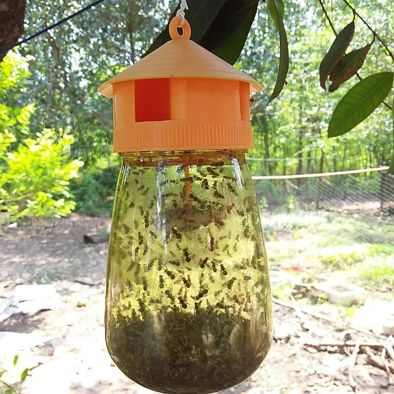 Combo lồng bẫy ruồi vàng 1L kèm tuýp dẫn dụ hiệu quả BA1623