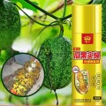 Chai keo xịt bẫy ruồi vàng, thu hút côn trùng 260ml BA1641