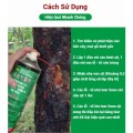 Bình xịt loại bỏ ấu trùng sâu đục thân bảo vệ cây trồng dung tích 450ml BA1702