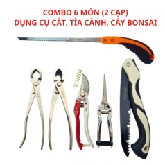 Bộ dụng cụ làm Bonsai chuyên dụng 6 món, thép trắng không gỉ, đầy đủ phụ kiện BA1845 