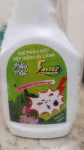 Vũ Trúc