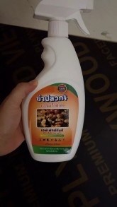 Nguyên Mai