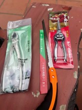 Trần Đức Duy
