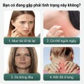 Combo 2 bình xịt diệt ve rệp chiết xuất thảo mộc, an toàn cho thú cưng BA1938