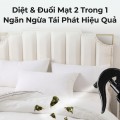 Combo 2 bình xịt diệt ve rệp chiết xuất thảo mộc, an toàn cho thú cưng BA1938