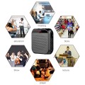 Loa trợ giảng HiFi S17 công suất 8W, pin sạc dung lượng cao BA2040