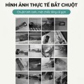 Bẫy chuột cơ học thông minh hiệu quả cao BA1968